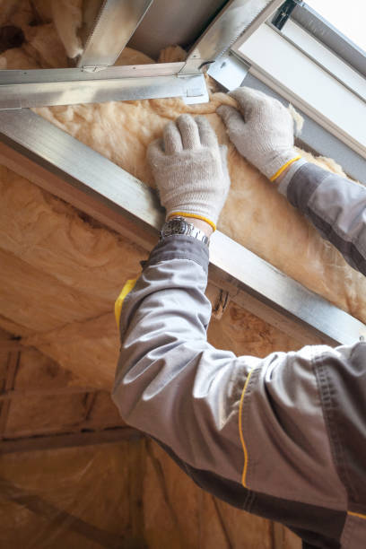 Best Insulation Inspection Services  in Sausalito, CA