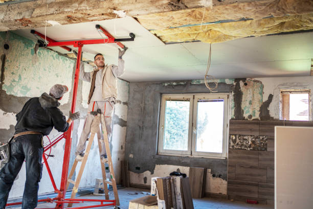 Best Cellulose Insulation  in Sausalito, CA
