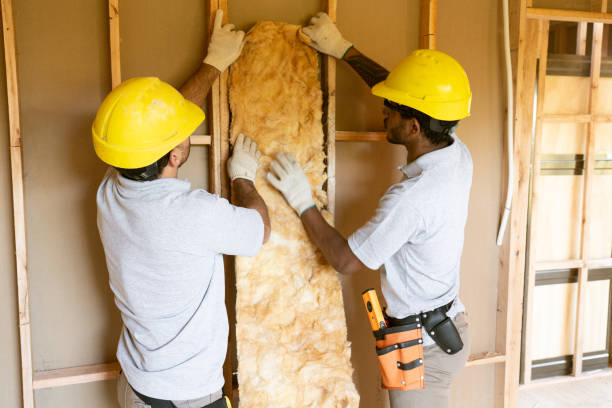 Best Insulation Replacement Services  in Sausalito, CA